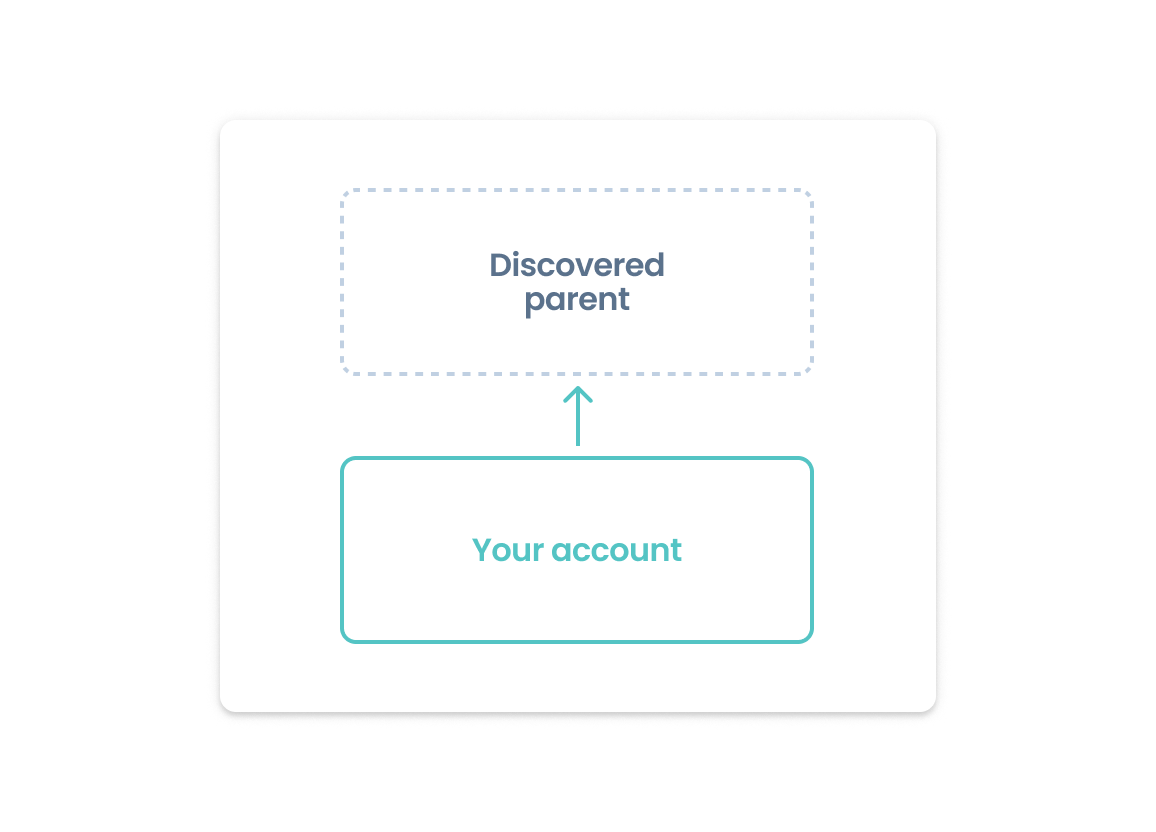Parent Companies report Screenshot